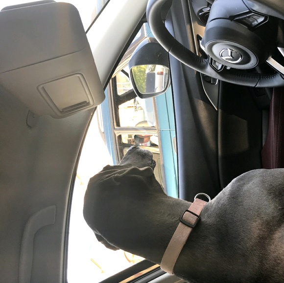 Meet your Posher, Chad - Picture 1 of 1